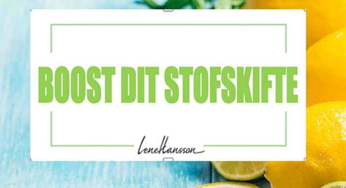 skaermbillede-2023-08-09-kl-11-11-12-700w-314h (1)-kostplaner