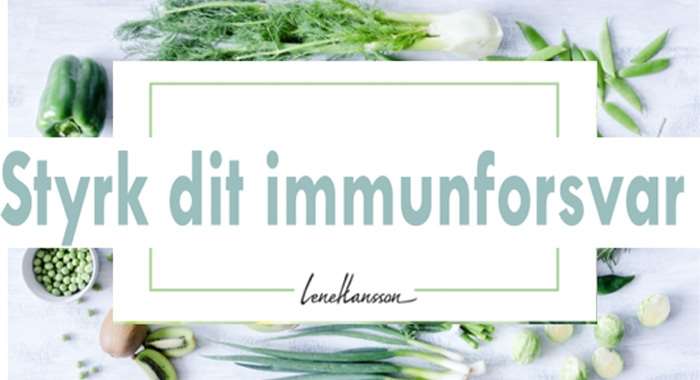 skaermbillede-2024-01-17-kl-16-28-14-532w-340h-kostplaner