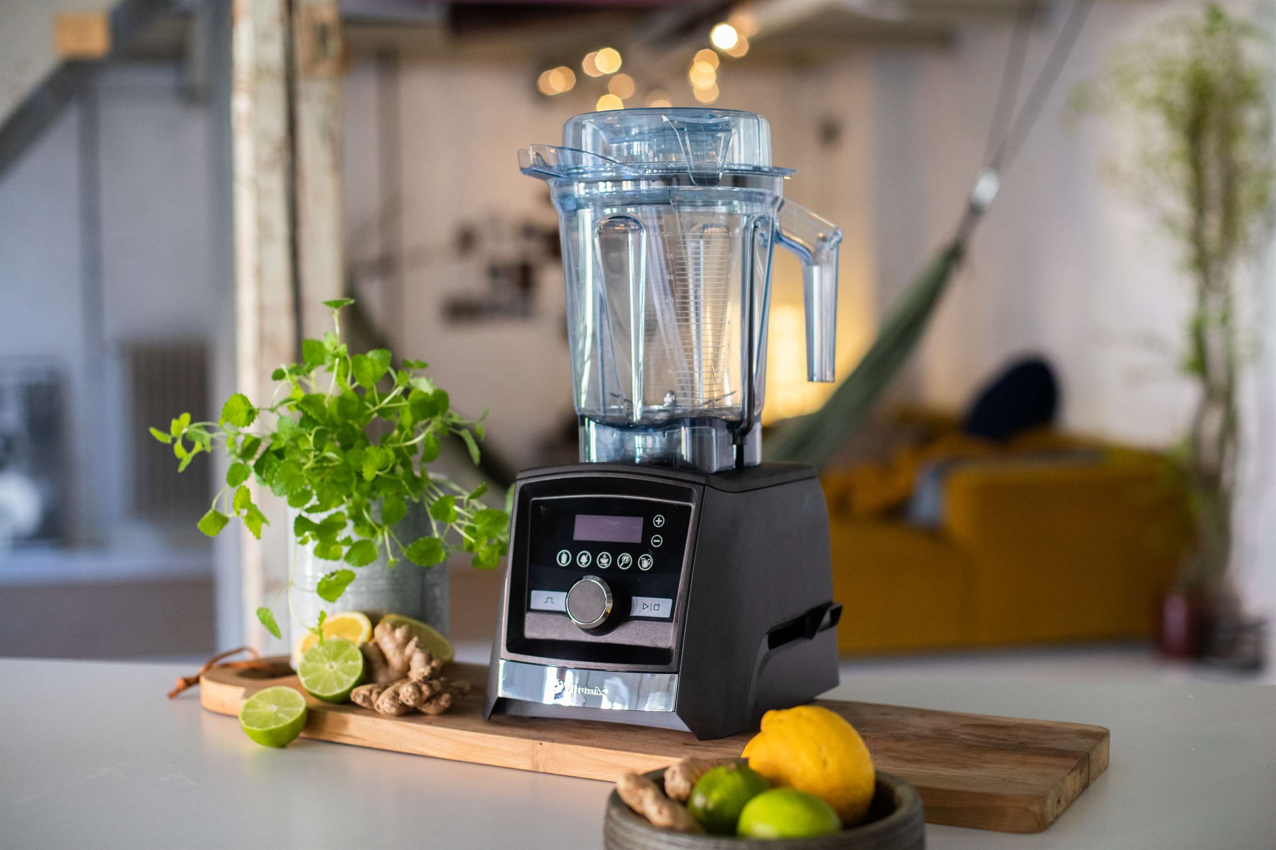 vitamix (2)