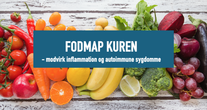 skaermbillede-2025-04-26-kl-12-43-33-700w-373h