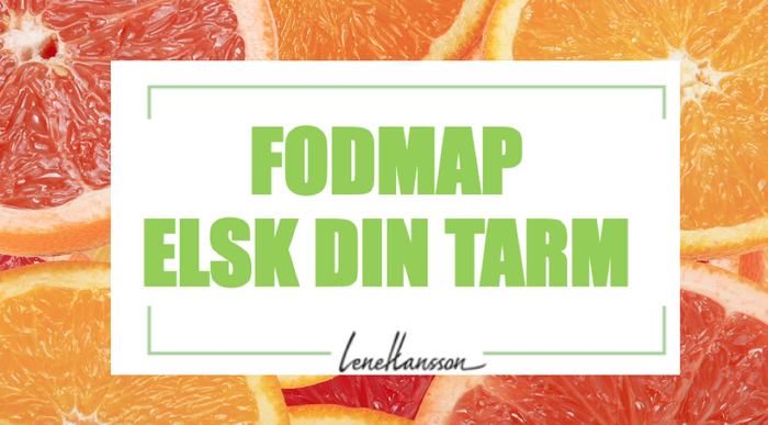 skaermbillede-2023-08-09-kl-11-24-09-700w-387h